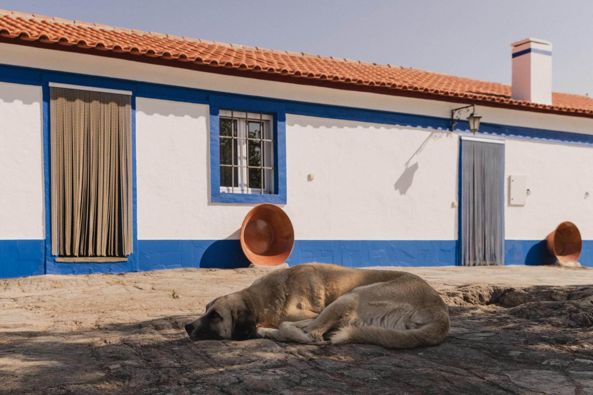 Monte Das Galhanas Monte do Pigeiro Dış mekan fotoğraf